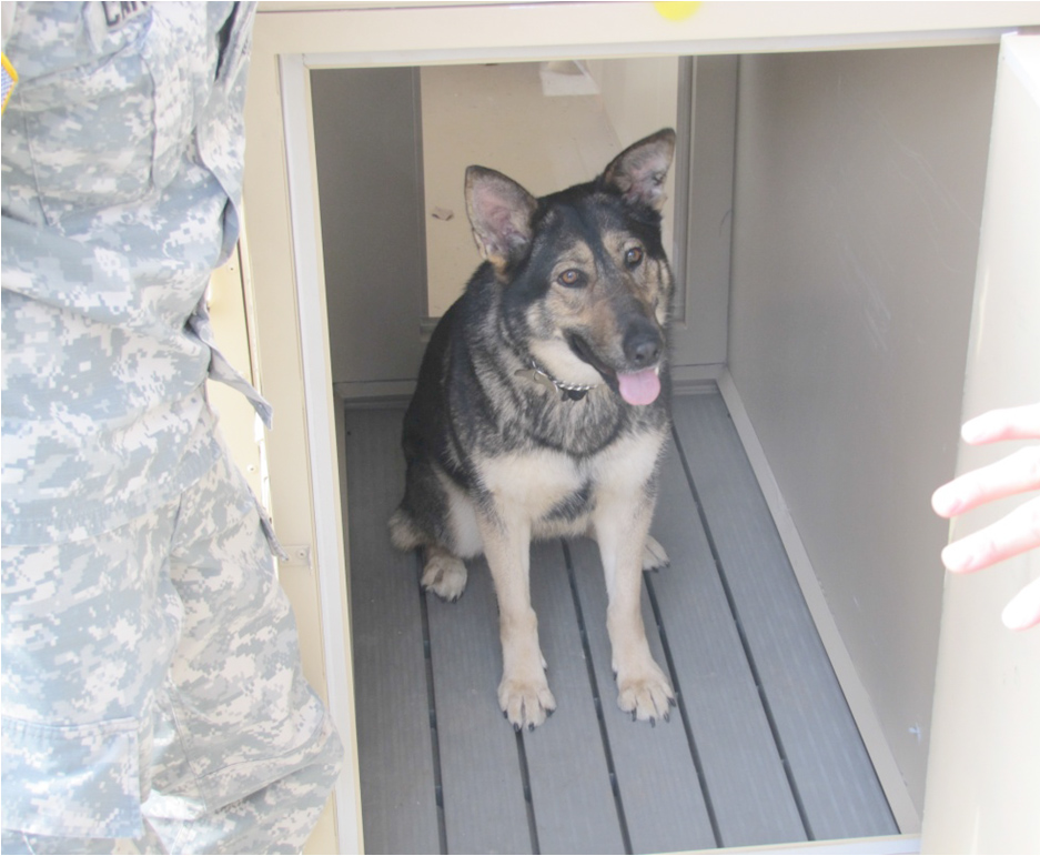 new, deployable kennel