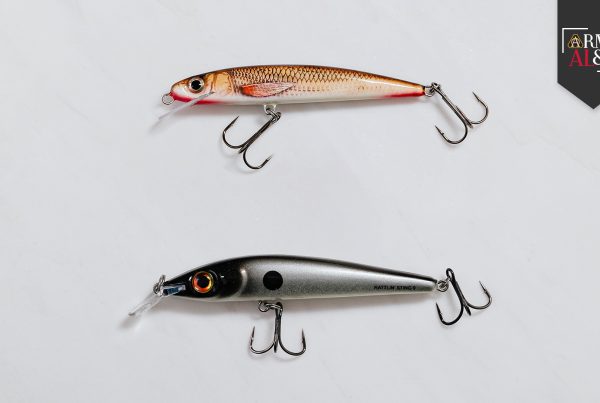 ALTArticle_AAE_ReelingInNewFish