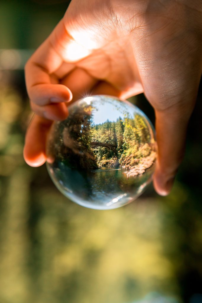 PREVENTION MEASURES: TRND is a major step toward identifying potential risks from environmental regulations, and their impact on the supply chain, to achieve long-term risk mitigation. (Photo by Arthur Ogleznev, Pexels)