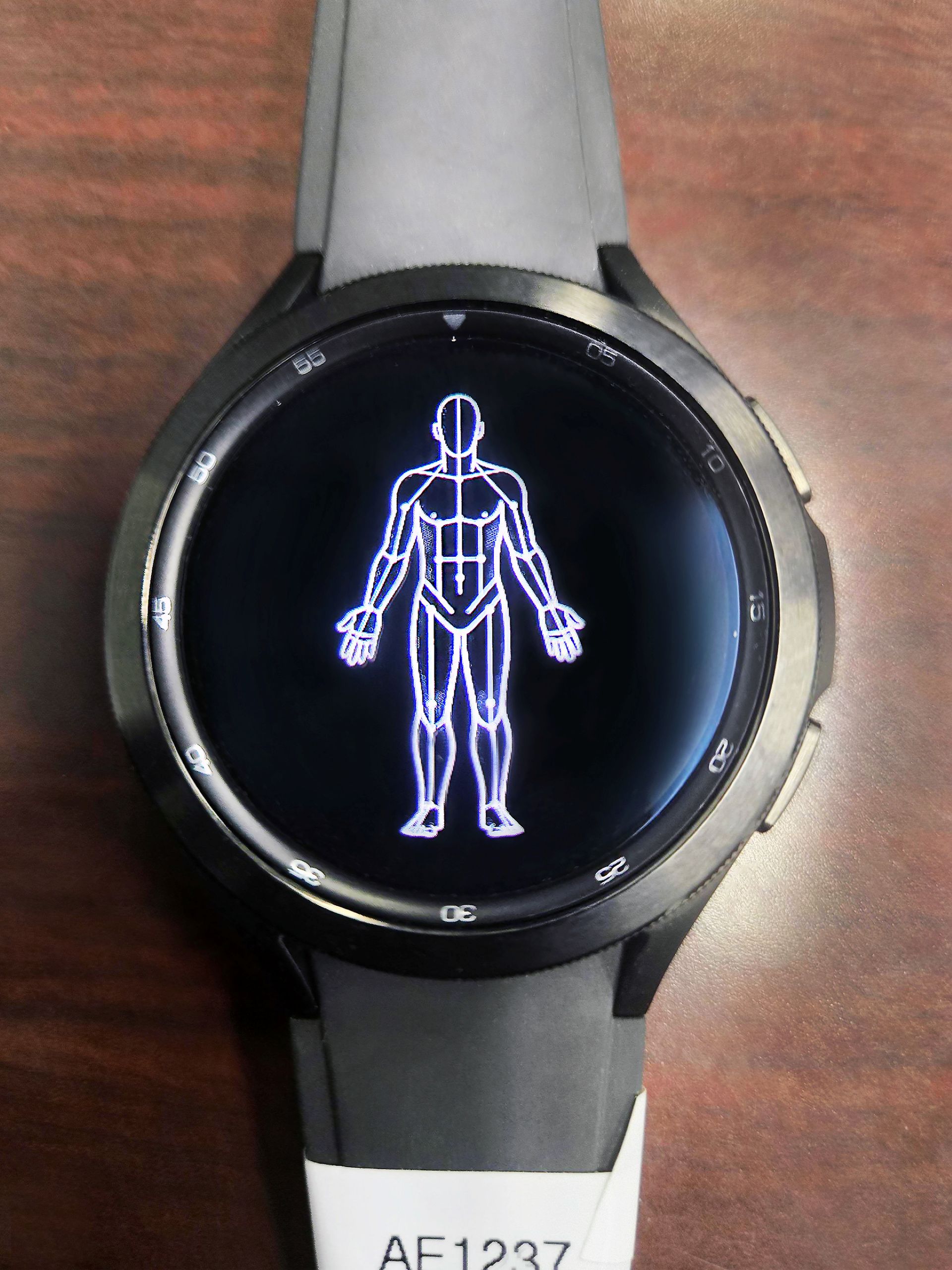 HALF PAST HAPTICS
